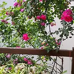 度假居 Mountain Breeze Sanctuary 沃洛斯