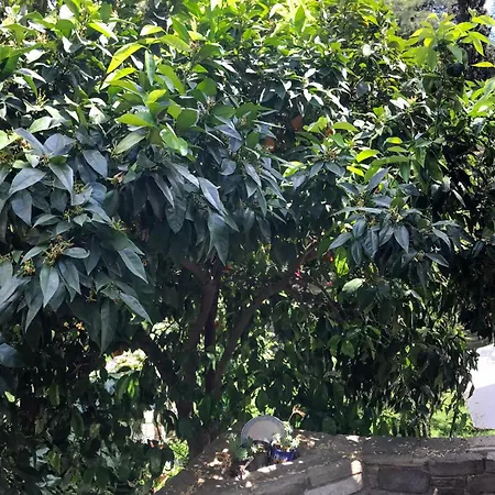 בית נופש Mountain Breeze Sanctuary *