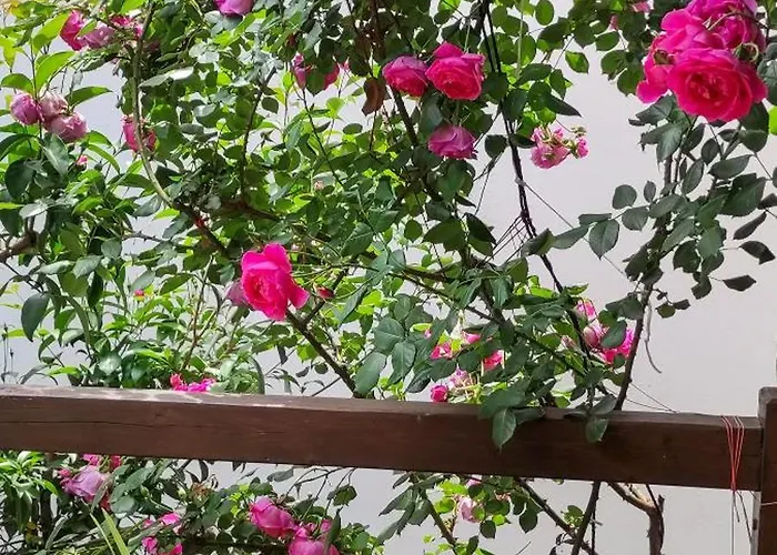 בית נופש Mountain Breeze Sanctuary וולוס