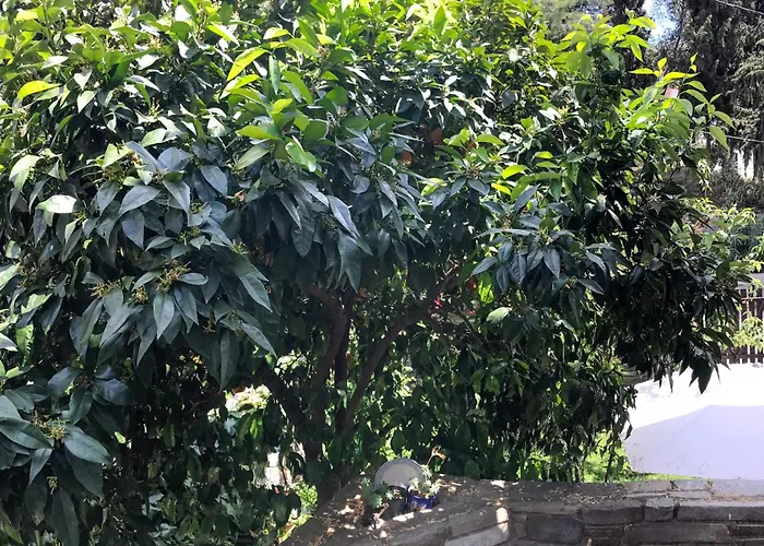 בית נופש Mountain Breeze Sanctuary *