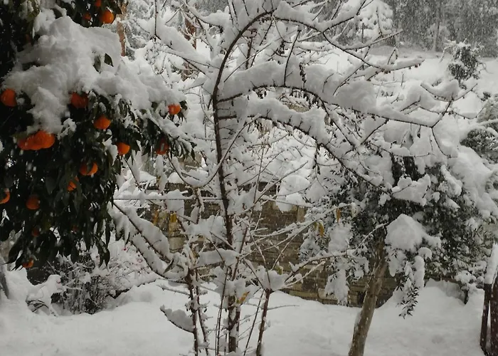 Mountain Breeze Sanctuary