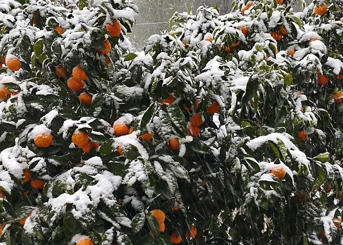 בית נופש Mountain Breeze Sanctuary