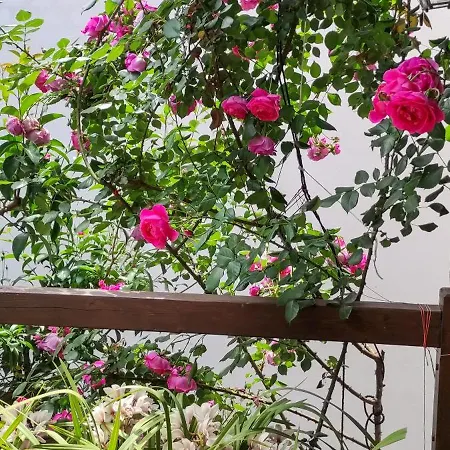 Villa Mountain Breeze Sanctuary Volos