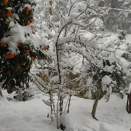 Mountain Breeze Sanctuary