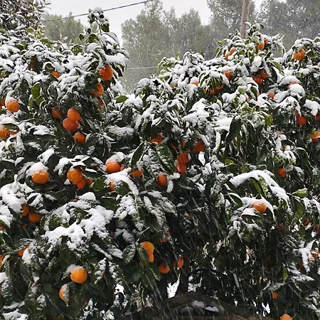 Vakantiehuis Mountain Breeze Sanctuary